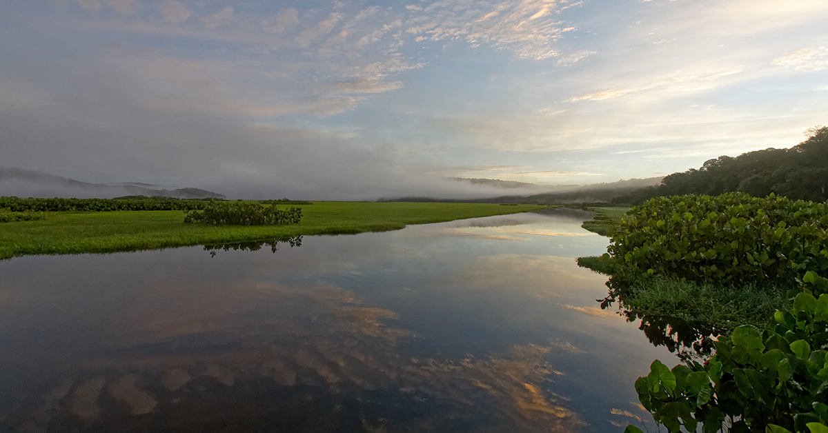 La Guyane