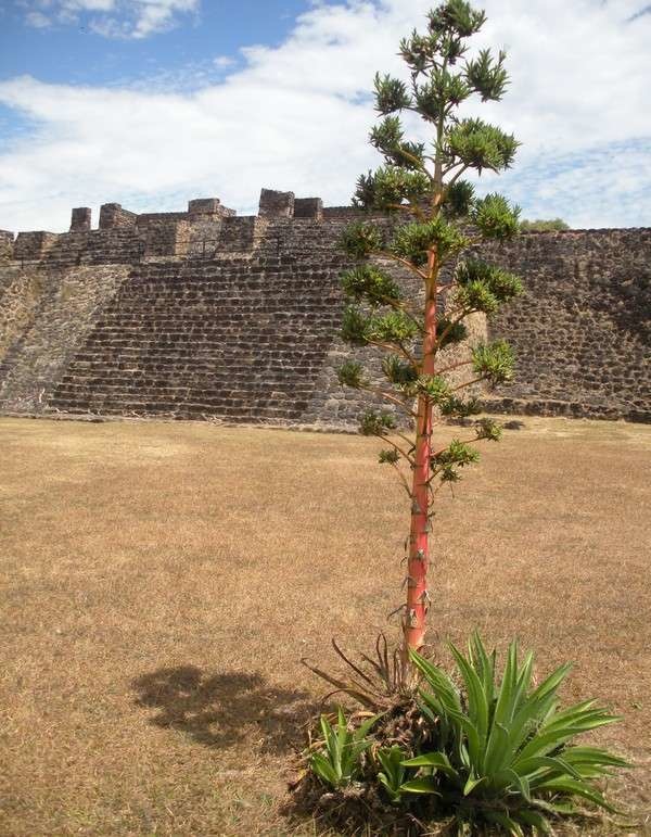 La beauté des temples aztéques